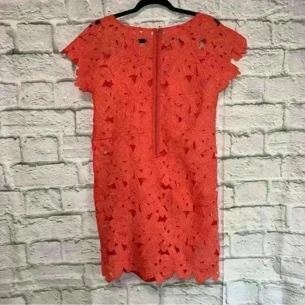 Mystree Women's Coral Lace Dress Floral Pink Size Medium - Picture 7 of 8